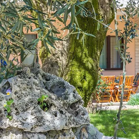Apartamento Ljuba Pula