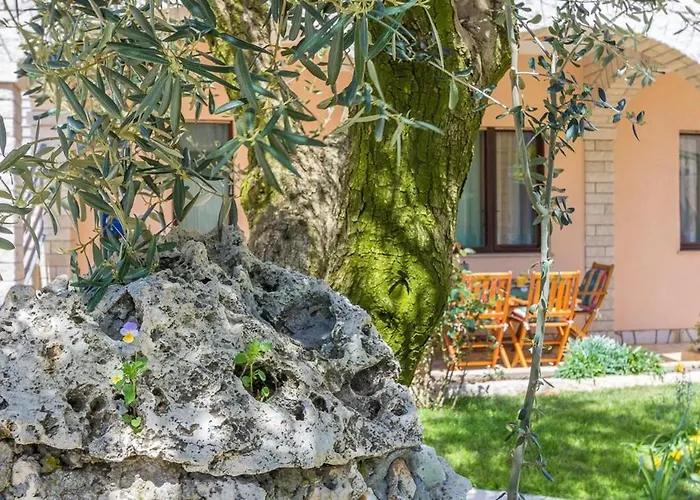 Apartment Valmade Pula